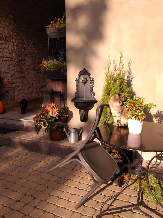 Babie Lato B&B يونيجوو المظهر الخارجي الصورة