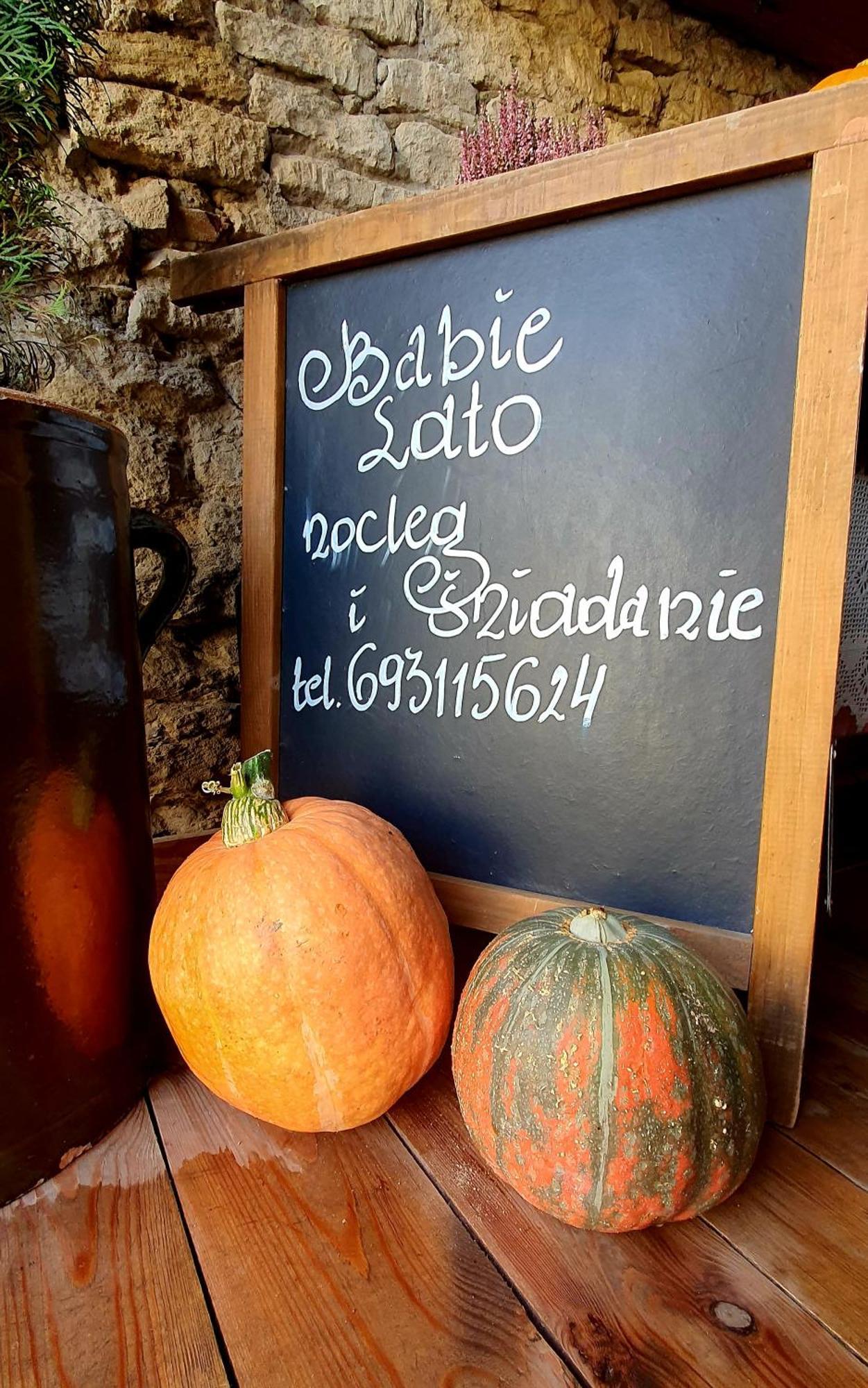 Babie Lato B&B يونيجوو المظهر الخارجي الصورة